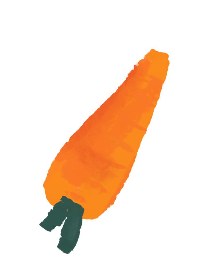fresh and fruity illustration of a carrot